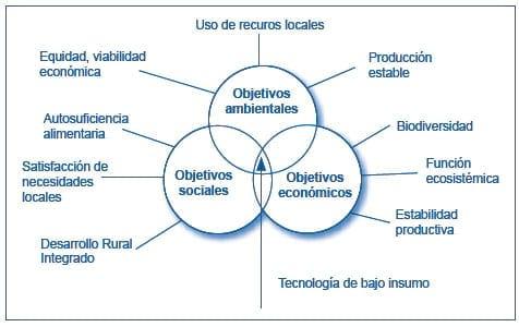 Micorriza arbuscular. Recurso microbiológico en la agricultura sostenible - Image 2
