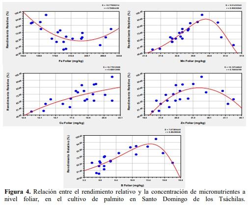 Un nuevo metodo para determinar los niveles críticos de nutrimentos en el suelo y follaje en el cultivo de palmito (bactris gasipaes kunth.) en Santo Domingo de los Tsáchilas - Image 8