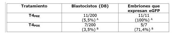 Producción de embriones transgénicos bovinos por microinyección de un vector lentiviral pre y pos fertilización. - Image 3