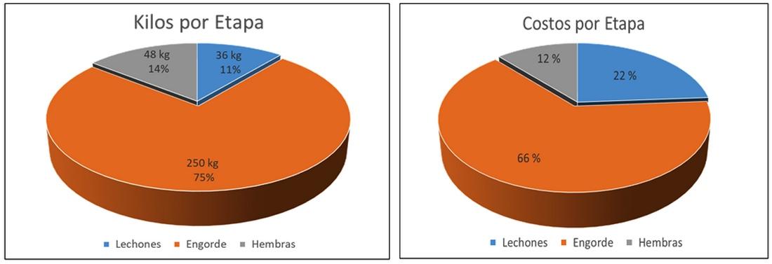 La Importancia de la Recría del lechón - Image 1