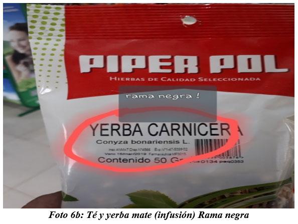 También sirven para hacer cocina gourmet : DIFERENTES TIPOS DE COMIDAS GOURMET CON FORRAJES NATURALES1 - Image 10