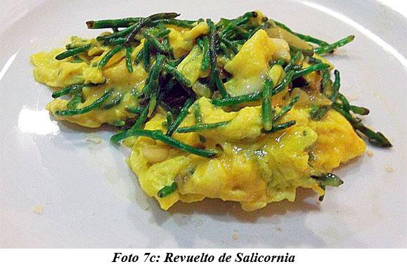También sirven para hacer cocina gourmet : DIFERENTES TIPOS DE COMIDAS GOURMET CON FORRAJES NATURALES1 - Image 13