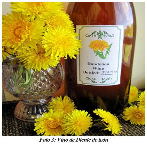 También sirven para hacer cocina gourmet : DIFERENTES TIPOS DE COMIDAS GOURMET CON FORRAJES NATURALES1 - Image 5