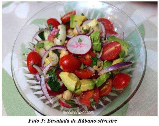 También sirven para hacer cocina gourmet : DIFERENTES TIPOS DE COMIDAS GOURMET CON FORRAJES NATURALES1 - Image 8