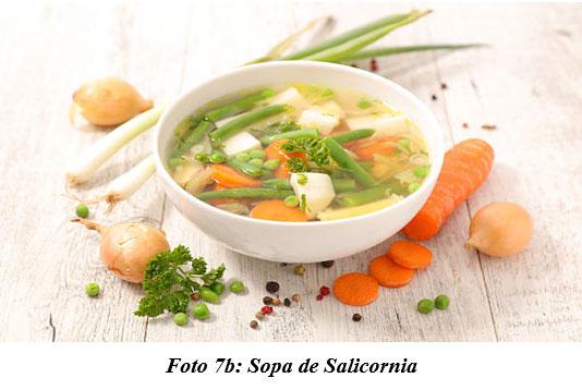 También sirven para hacer cocina gourmet : DIFERENTES TIPOS DE COMIDAS GOURMET CON FORRAJES NATURALES1 - Image 12