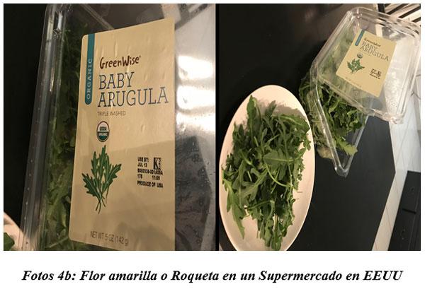 También sirven para hacer cocina gourmet : DIFERENTES TIPOS DE COMIDAS GOURMET CON FORRAJES NATURALES1 - Image 7