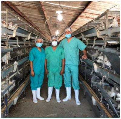La constante lucha veterinaria por controlar infecciones CoV en aves: Lecciones para superar el COVID-19 - Image 2