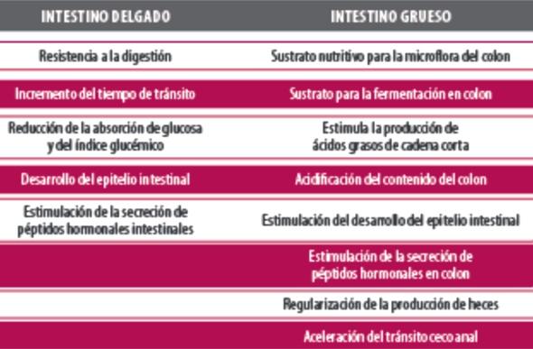 Prebióticos, Probióticos & Simbióticos en nutrición y salud animal - Image 2