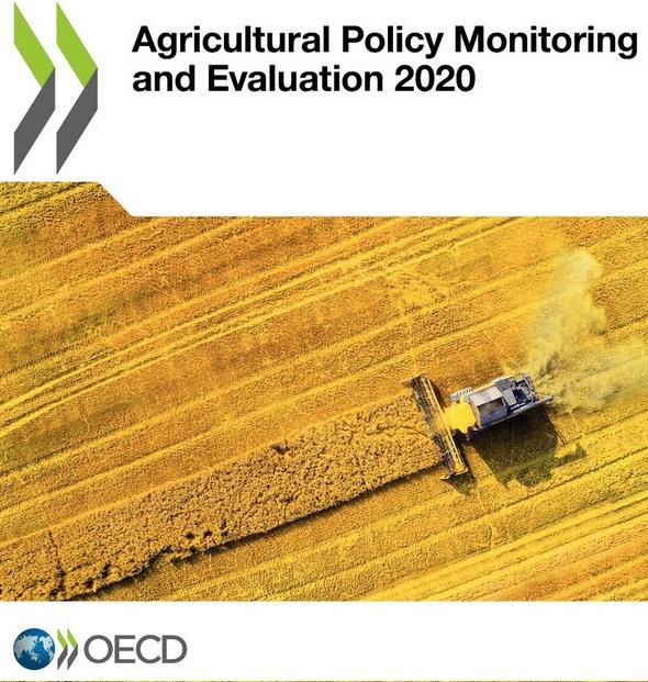 Las políticas gubernamentales a los agricultores distorsionan los mercados, apagan la innovación y perjudican el medio ambiente - Image 2