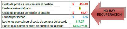 Eficiencia (y eficacia) Reproductiva - Cuantos lechones destetados cubren el costo o valor de la inversión en una cerda de reemplazo - Image 19