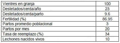 Eficiencia (y eficacia) Reproductiva - Cuantos lechones destetados cubren el costo o valor de la inversión en una cerda de reemplazo - Image 2