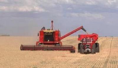El avance de las malezas resistentes a herbicidas en los sistemas agrícolas. ¿Podremos controlarlas? - Image 13