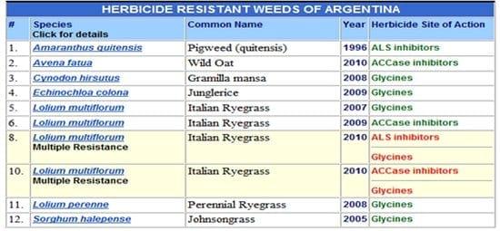 El avance de las malezas resistentes a herbicidas en los sistemas agrícolas. ¿Podremos controlarlas? - Image 1