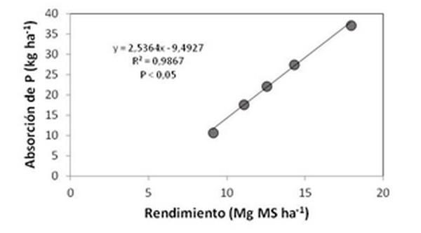 Efecto de la fertilización fosforada en el rendimiento de maíz forrajero en un andisol - Image 1