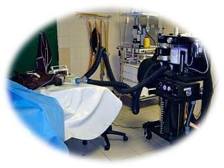 Tramadol en asociación con paracetamol en el control del dolor posoperatorio en protocolos analgésicos polimodales preventivos en anastesiología de equinos - Image 1