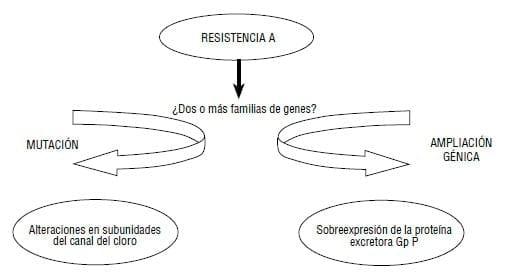 Resistencia a los antihelmínticos: origen, desarrollo y control - Image 6