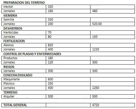 Ensilaje de maiz para la alimentación del ganado lechero - Image 5