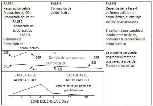 Ensilaje de maiz para la alimentación del ganado lechero - Image 1