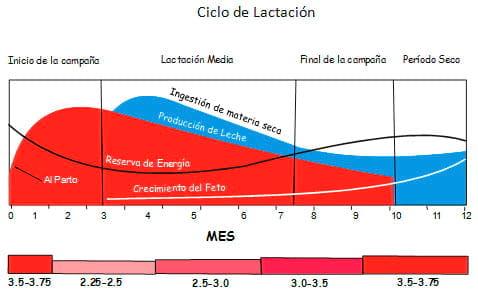Manual de manejo y de alimentación de vacunos II: Manejo y Alimentación de vacas productoras de leche en sistemas intensivos - Image 16