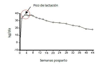 Manual de manejo y de alimentación de vacunos II: Manejo y Alimentación de vacas productoras de leche en sistemas intensivos - Image 7
