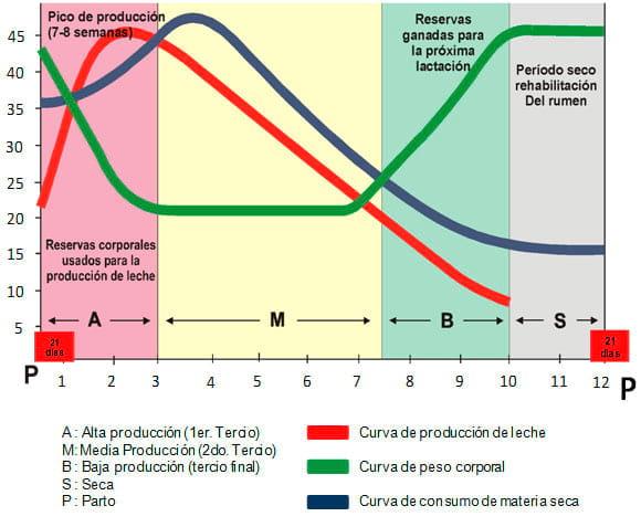 Manual de manejo y de alimentación de vacunos II: Manejo y Alimentación de vacas productoras de leche en sistemas intensivos - Image 27