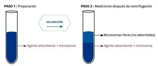 Eficacia de los agentes detoxificadores de micotoxinas, verdades y mitos - Image 1