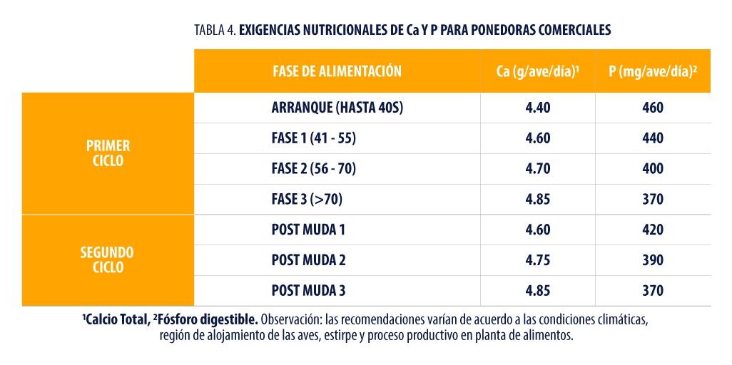Factores que afectan la calidad de la cáscara del huevo para consumo humano - Image 9