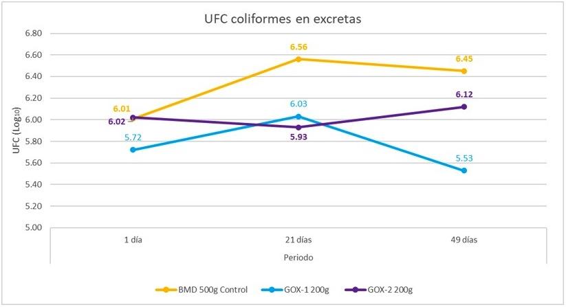 Suplementación de BMD o glucosa oxidasa en el alimento de pollo sobre la presencia de bacterias enteropatógenas - Image 3