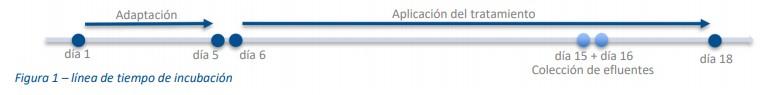 B-Traxim Pro4: una fuente de cobalto eficiente para producir vitamina B12 en el rúmen - Image 1