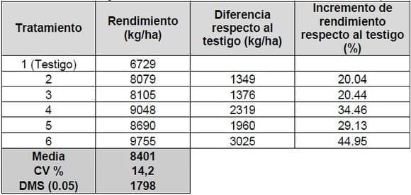 Efecto de fungicidas foliares y momento de aplicación sobre la severidad de tizón foliar y enfermedades de raíz y tallo en maíz - Image 6