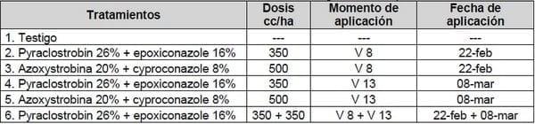 Efecto de fungicidas foliares y momento de aplicación sobre la severidad de tizón foliar y enfermedades de raíz y tallo en maíz - Image 1
