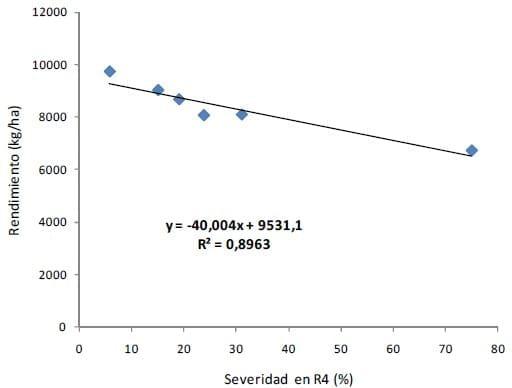 Efecto de fungicidas foliares y momento de aplicación sobre la severidad de tizón foliar y enfermedades de raíz y tallo en maíz - Image 8