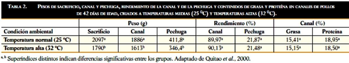 Efectos del estrés térmico sobre la calidad de la carne en los pollos de engorde - Image 3