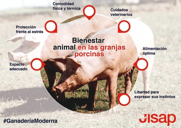 Cómo garantizamos el bienestar animal en las granjas - Image 1