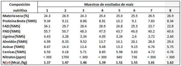 Utilización de maíz dañado por sequía como forraje. - Image 2