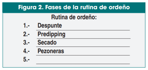 Figura 2. Fases de la rutina de ordeño