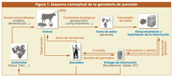 Figura 1. Esquema conceptual de la ganadería de precisión