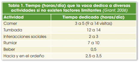 Tabla 1. Tiempo (horas/día) que la vaca dedica a diversas actividades si no existen factores limitantes (Grant, 2006)