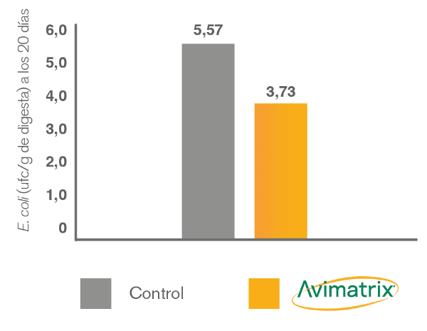 Modulación positiva de la microbiota intestinal de las aves - Image 3