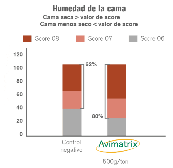 Modulación positiva de la microbiota intestinal de las aves - Image 5
