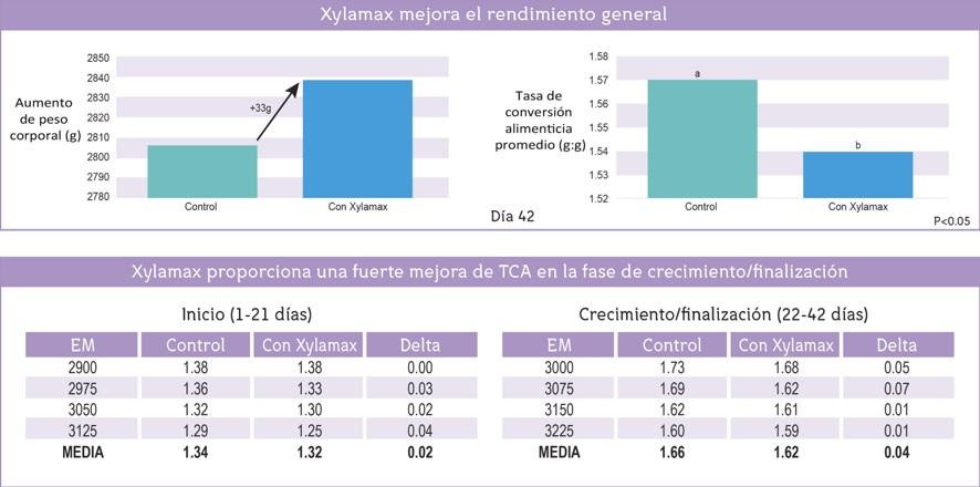Evaluación del rendimiento del animal vivo y las características de la canal de pollos de engorde alimentados con dietas de maíz y soja suplementadas con fitasa y xilanasa broiler - Image 1