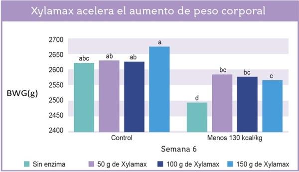 Los efectos de la suplementación con xilanasa (Xylamax) sobre el rendimiento de pollos de engorde comerciales alimentados con dietas bajas en energía - Image 3