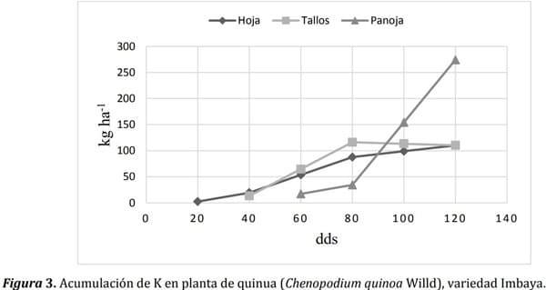 Índice de cosecha con macro-nutrientes en grano de quinua (Chenopodium quinoa Willd) - Image 9