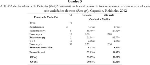 Respuesta de seis cultivares de rosa (Rosa sp.) a tres relaciones catiónicas del suelo. Cayambe, Pichincha - Image 3