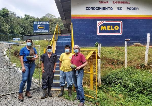 Día Mundial de la Inocuidad de los Alimentos - Image 3