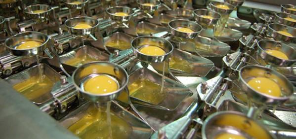 Huevo de ave: un superalimento que necesita proteger su inocuidad - Image 2