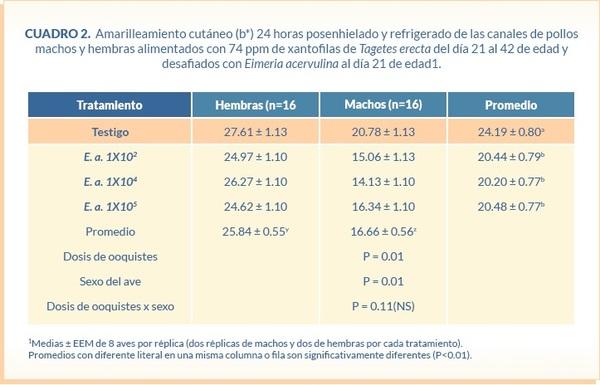 Absorción y depósito de xantofilas en pollos de engorda desafiados con tres diferentes niveles de ooquistes de Eimeria acervulina - Image 5