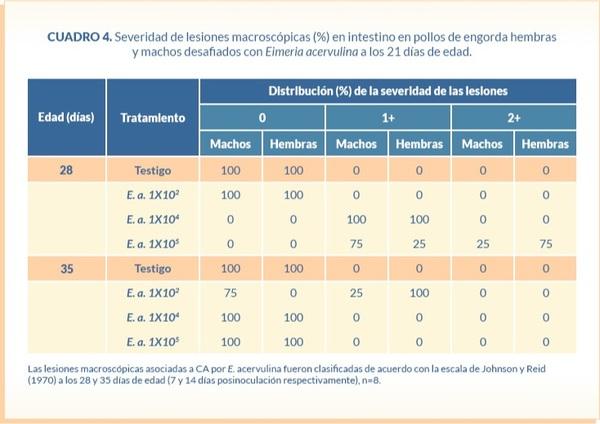 Absorción y depósito de xantofilas en pollos de engorda desafiados con tres diferentes niveles de ooquistes de Eimeria acervulina - Image 7