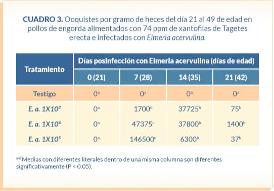 Absorción y depósito de xantofilas en pollos de engorda desafiados con tres diferentes niveles de ooquistes de Eimeria acervulina - Image 6