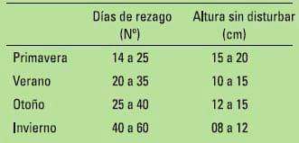 Mejores prácticas de pastoreo para el sur de chile - Image 3